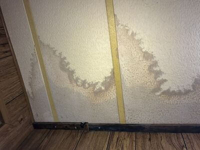 Professional water damage restoration services in Alhambra - Rynlyx Shield